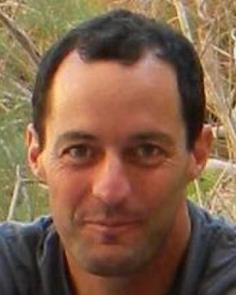Dan Gutfreund